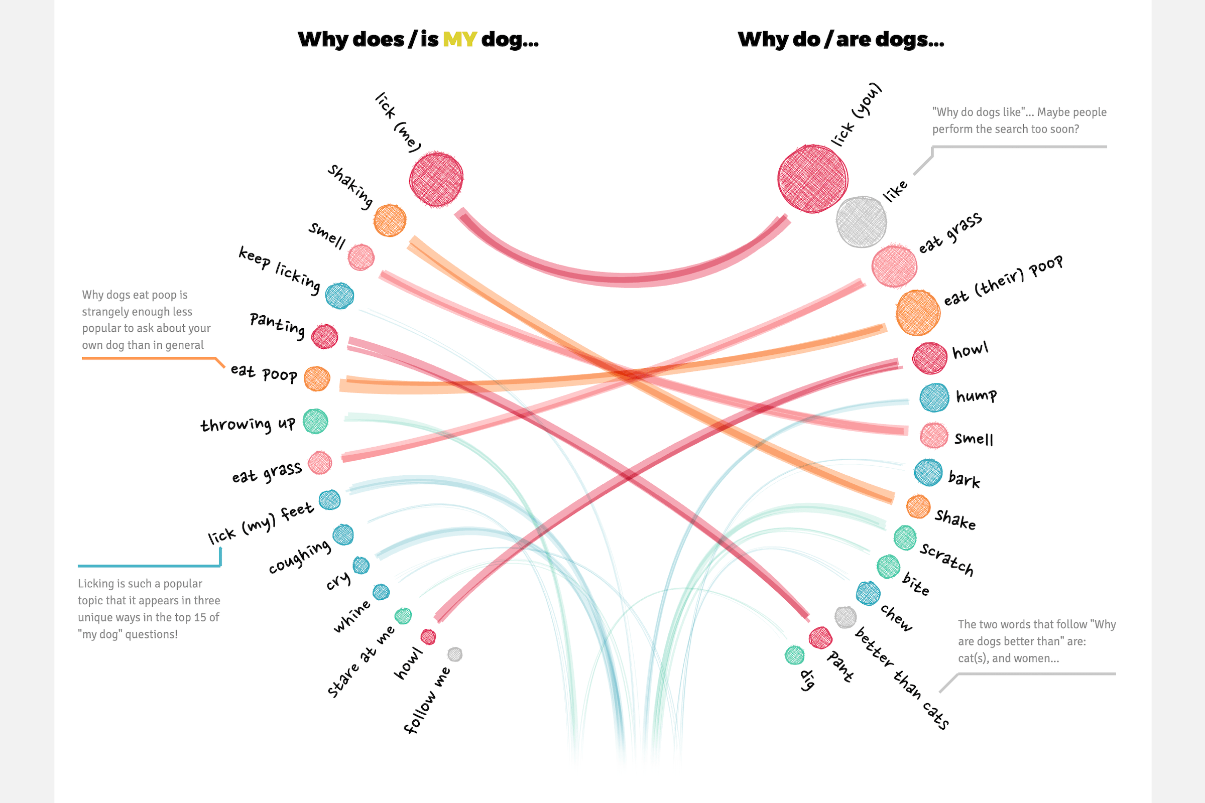 The top 15 general vs 'my' most asked questions for dogs