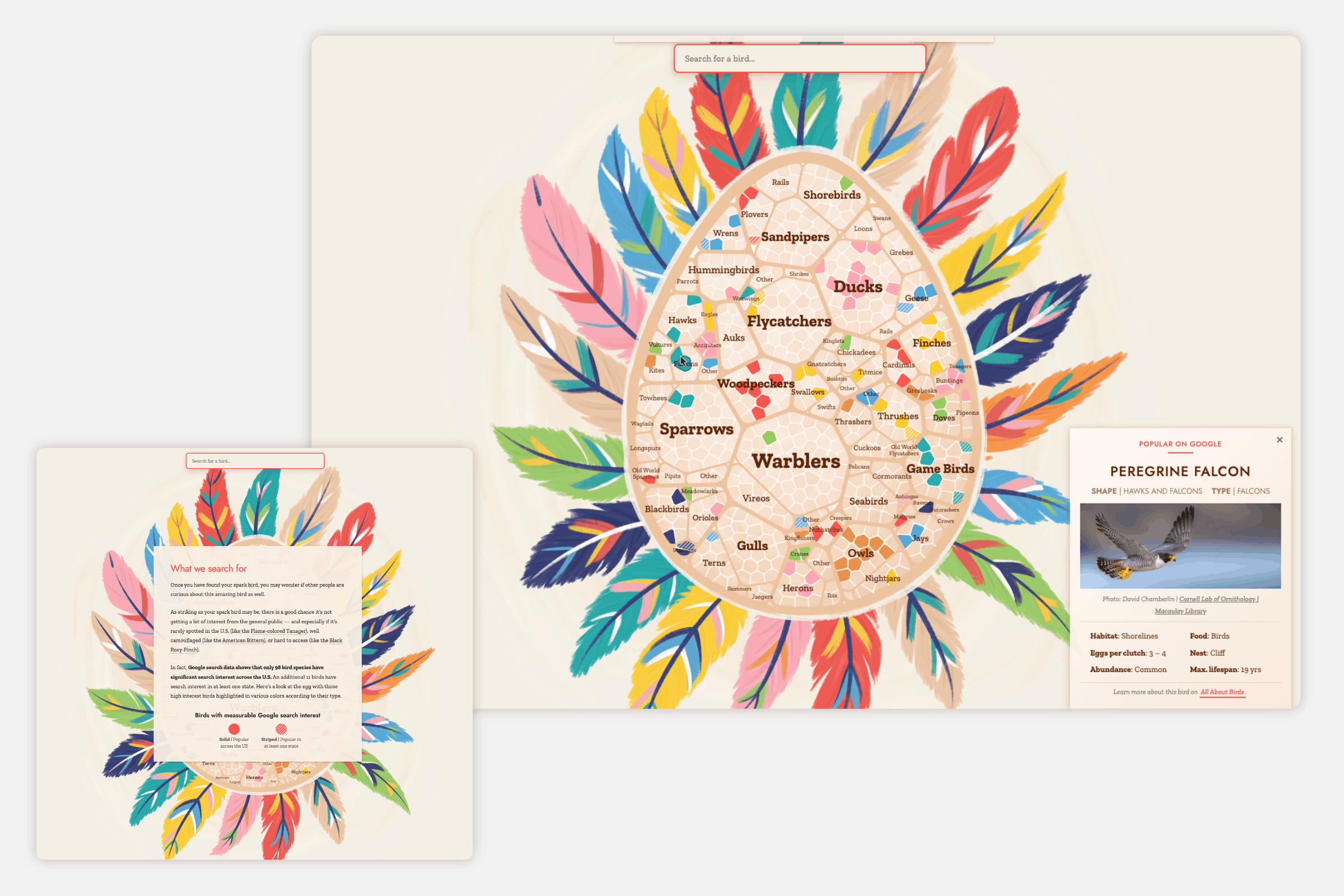 A giant drawn egg shape with the nearly 700 different U.S. bird species as little cells within, split per bird type