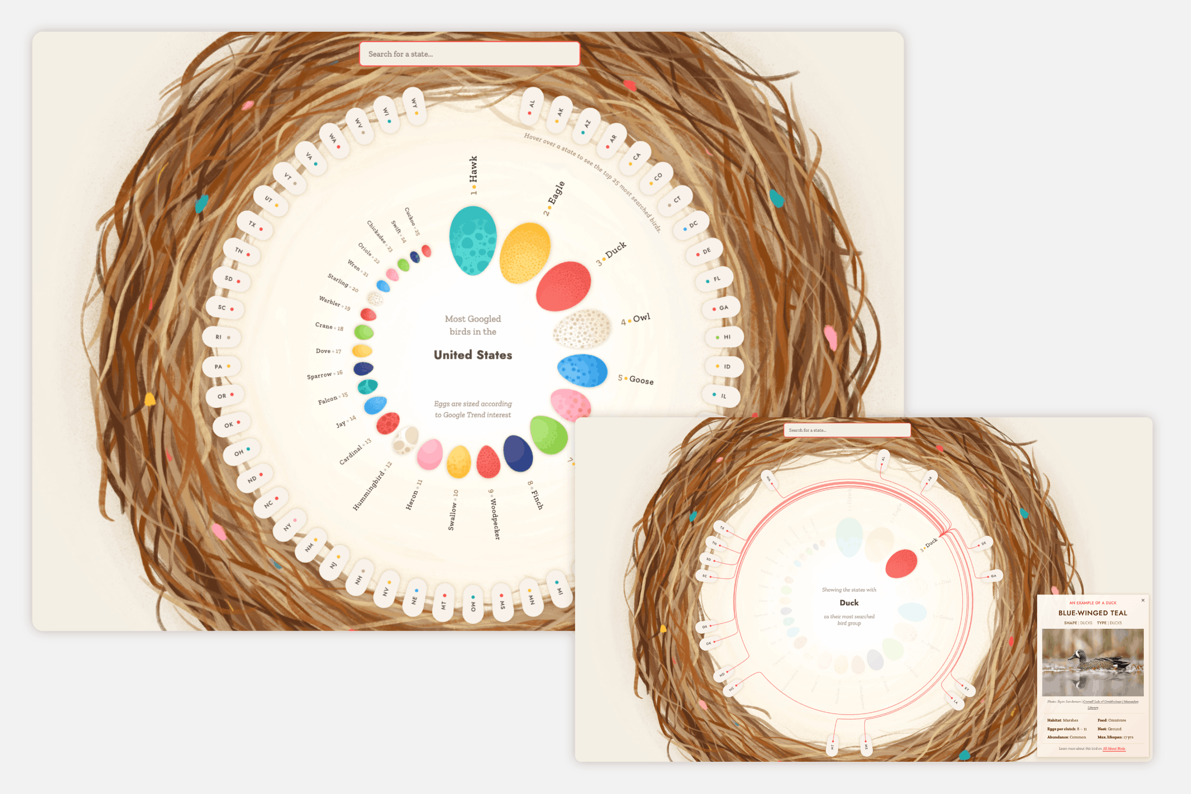 A giant nest with 25 eggs lying inside where each egg is scaled to the bird's search popularity