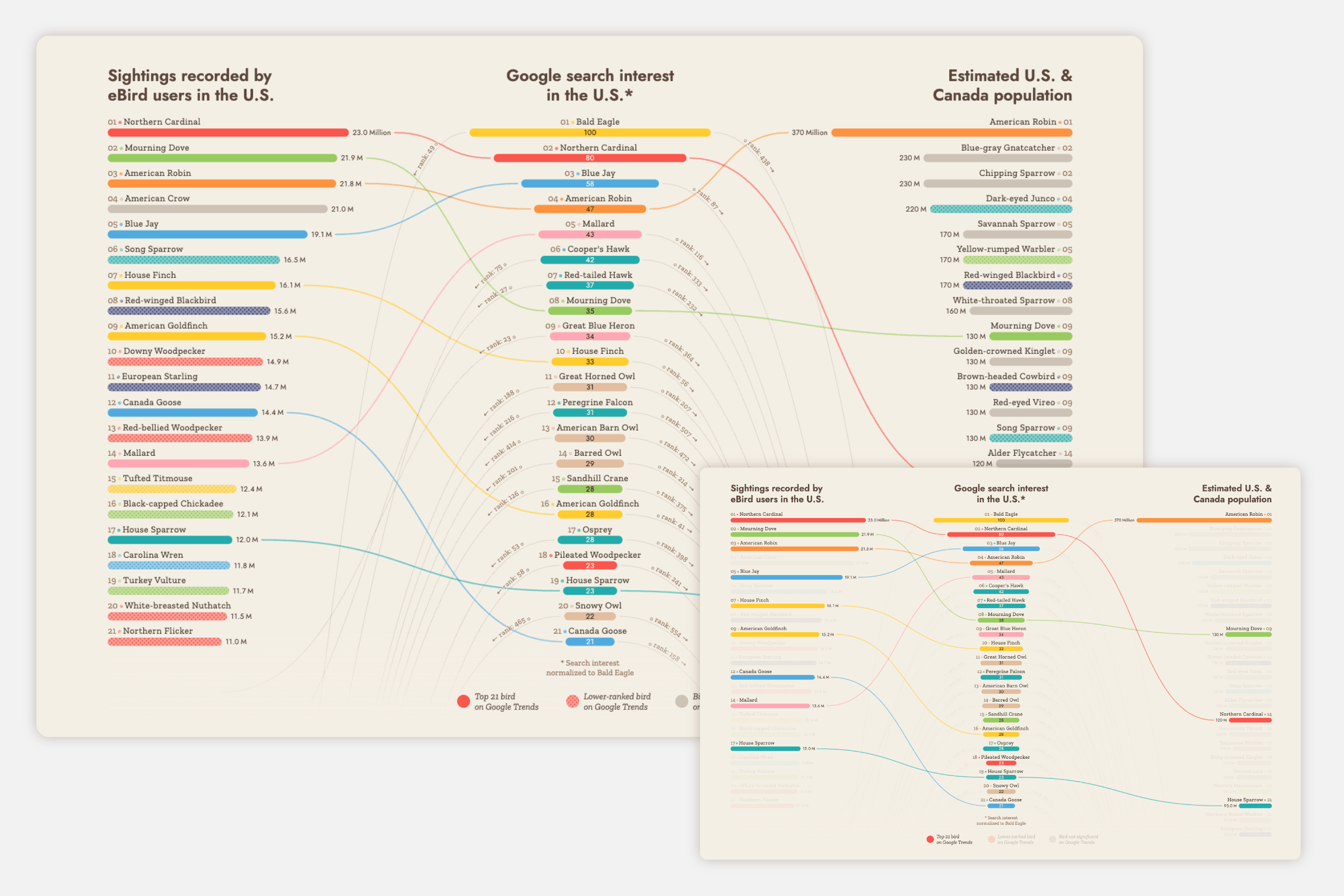 Three bar charts next to each comparing birds from eBird, Google Trends and population counts