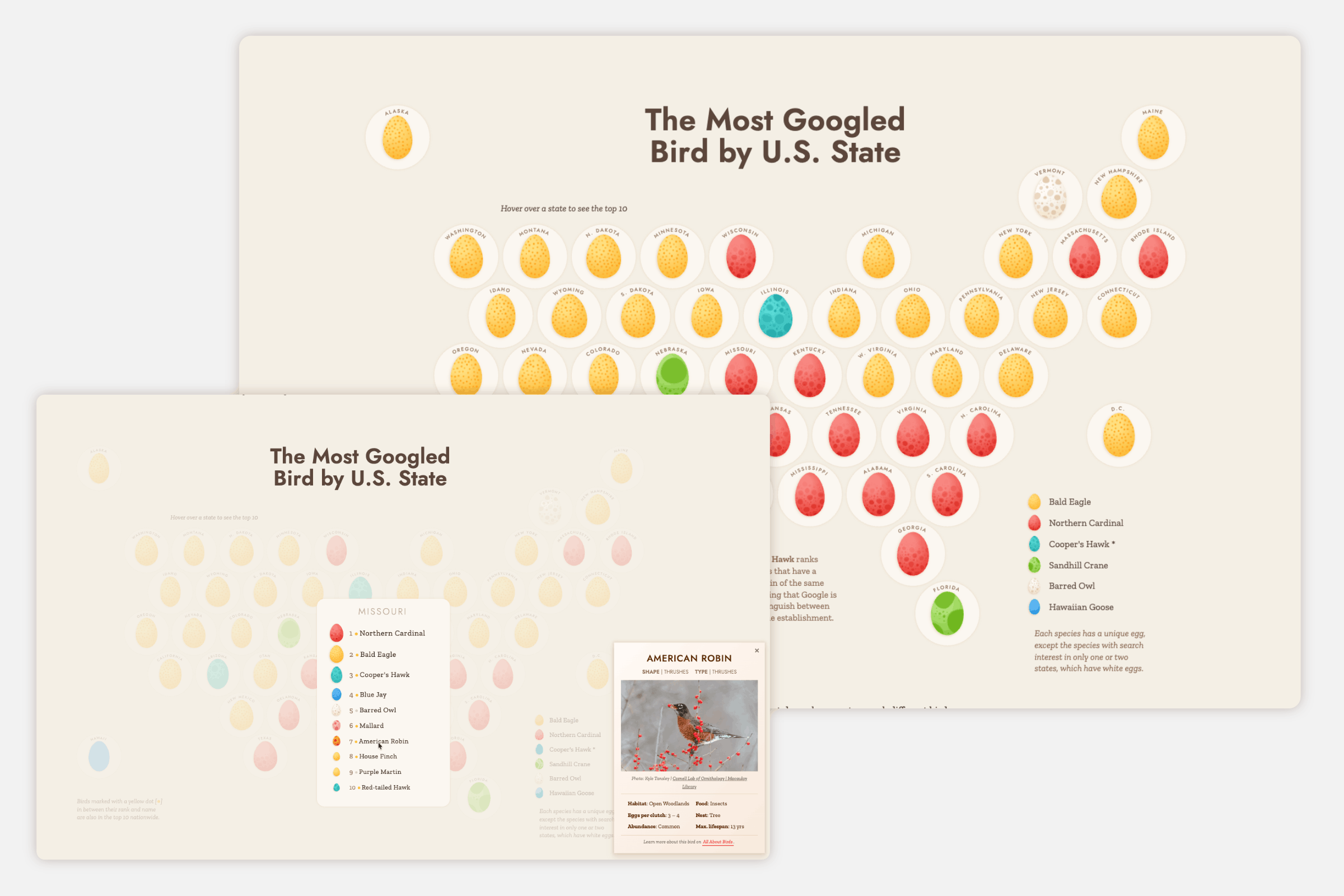 A map of the U.S. states where each state is represented by a colored egg and the color indicates what bird is most searched there