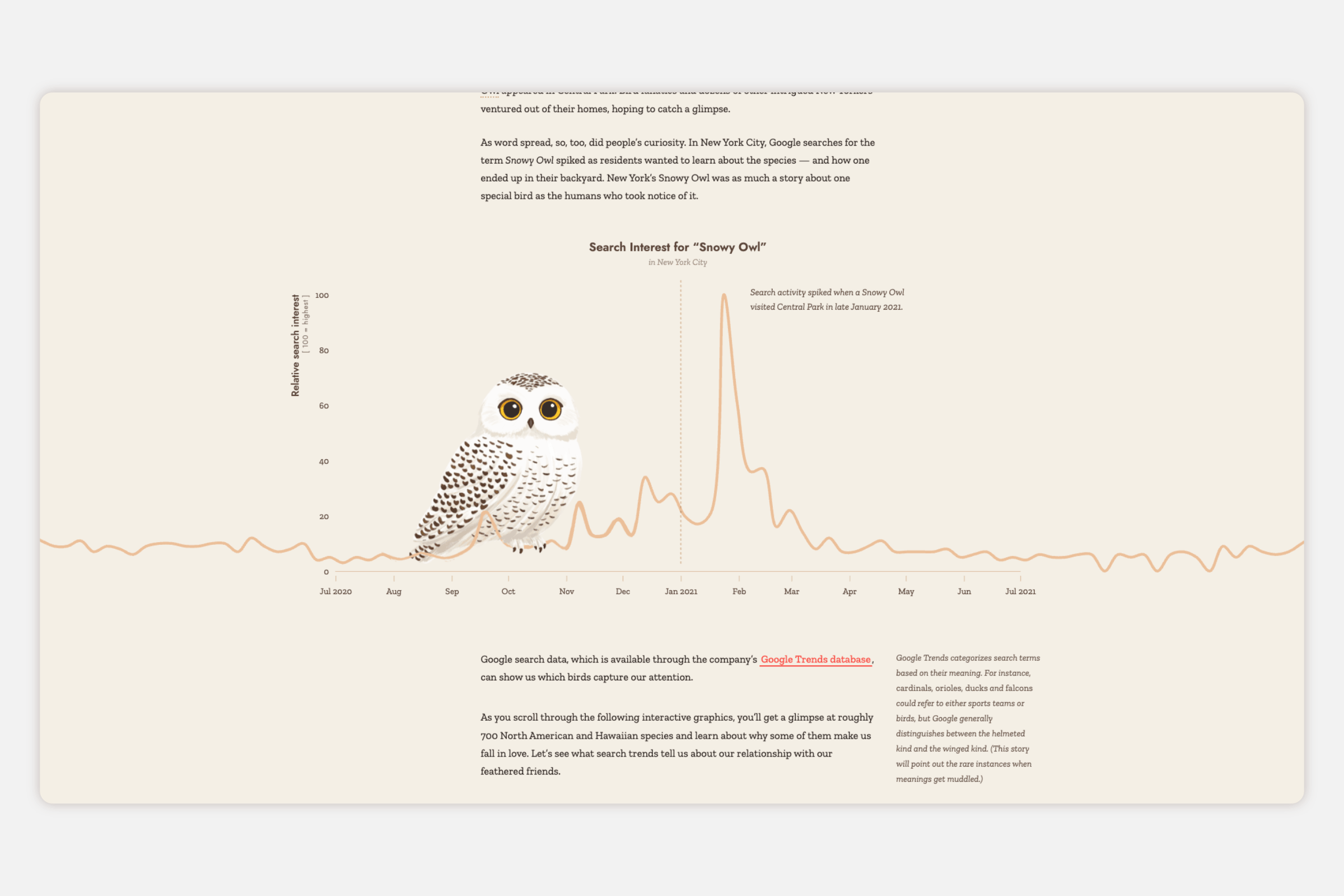 A line chart with a Snowy Owl sitting on the line