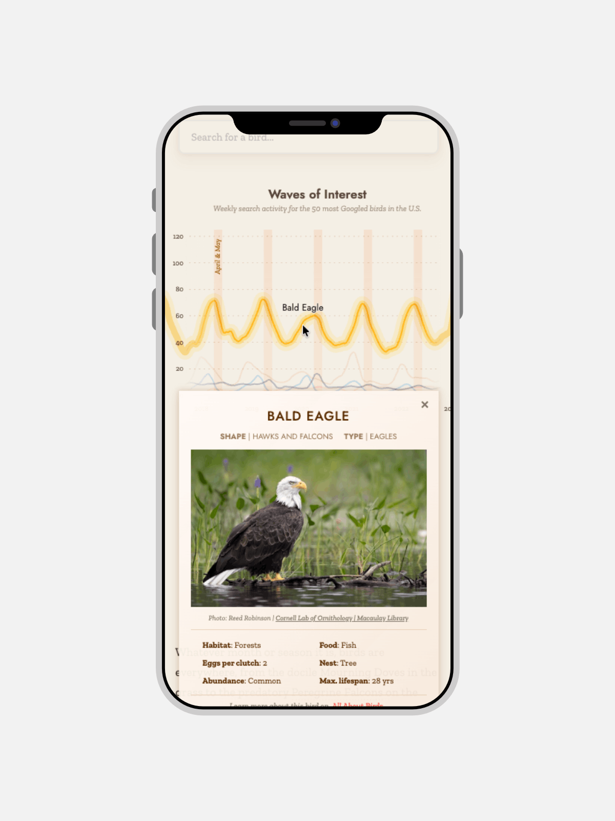 The mobile version of the seasonality line charts